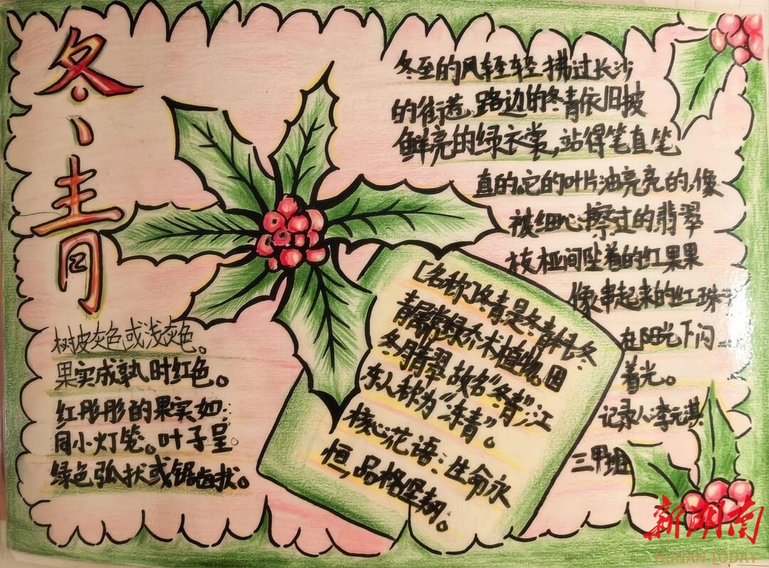 节气湖南·物候冬至：岁寒至深静待新昼